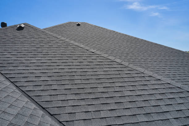 Best Roof Coating and Sealing  in Yalaha, FL